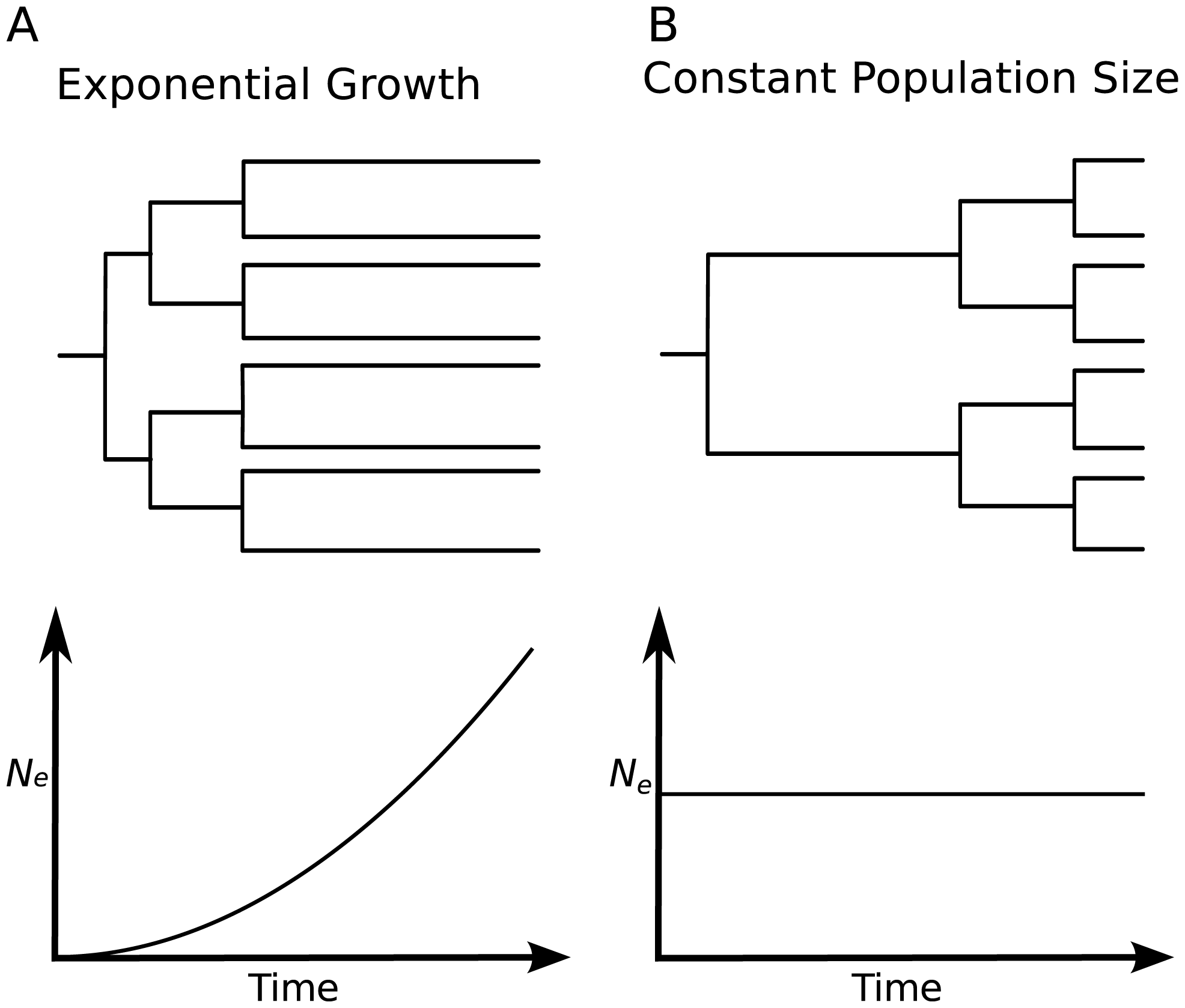 Inference Of Population Structure From Genetic Sequence Data